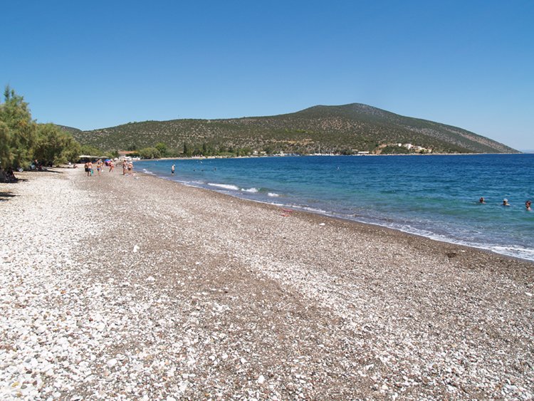 Aliotou beach