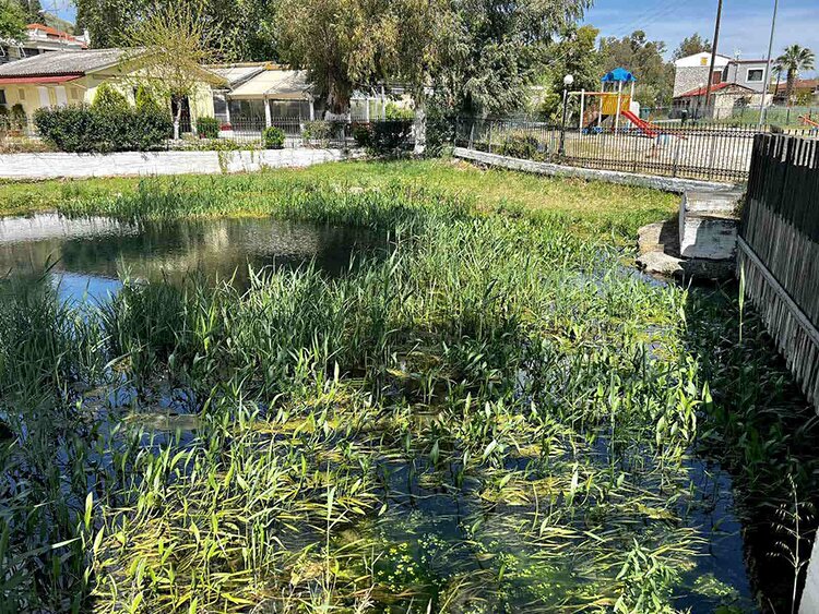 Le lac Alkyonie