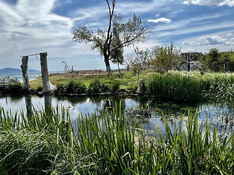 The estuary of Lerna