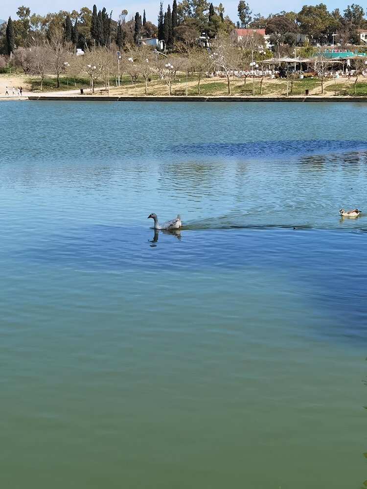 Antonis Tritsis Park