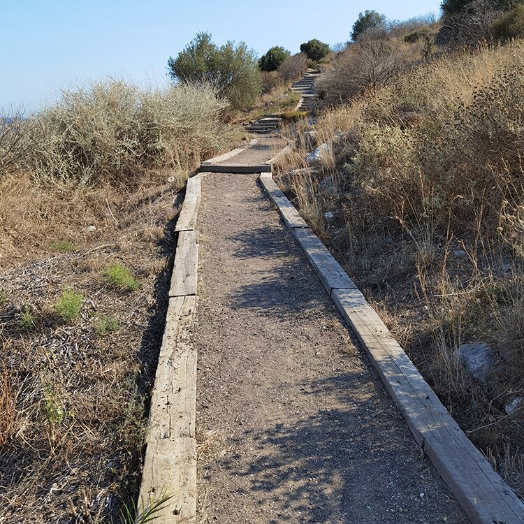 Αρχαία Ασίνη