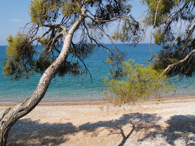 La spiaggia di Kyparissi