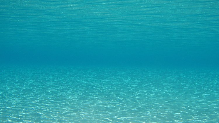 Pontamos