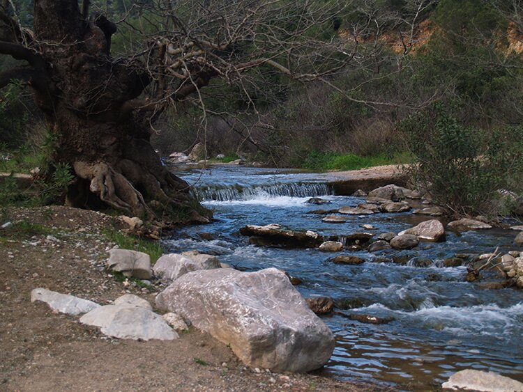 Le ruisseau Rados