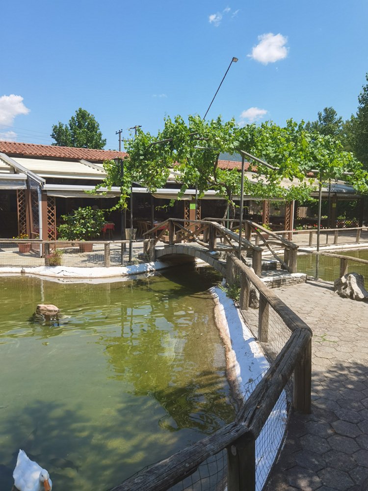 Αγρόκτημα Παπάκια
