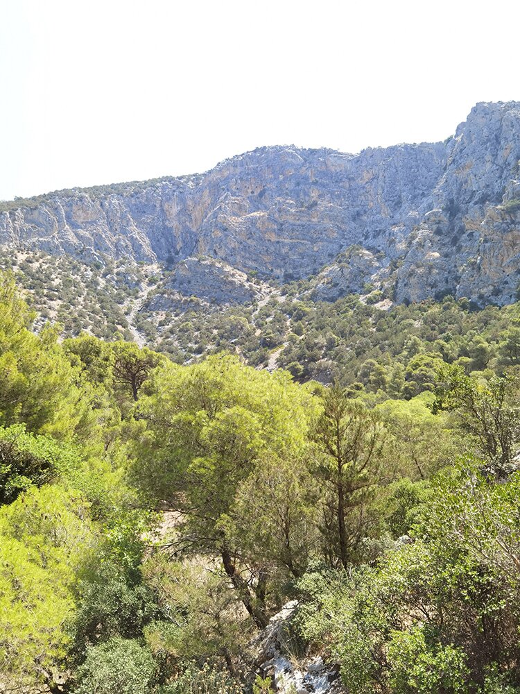 Το Καταφύκι στην Ερμιόνη