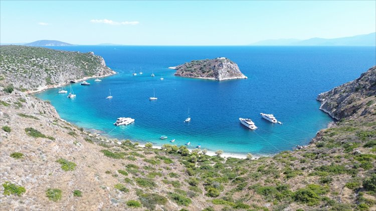 Ρόμβη Τολό