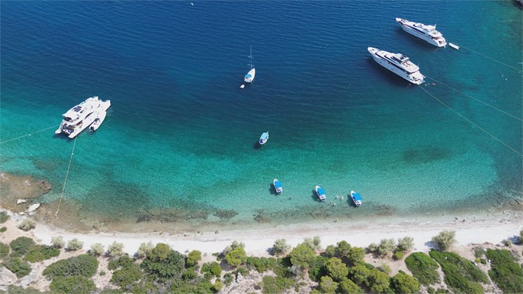 Ρόμβη Τολό