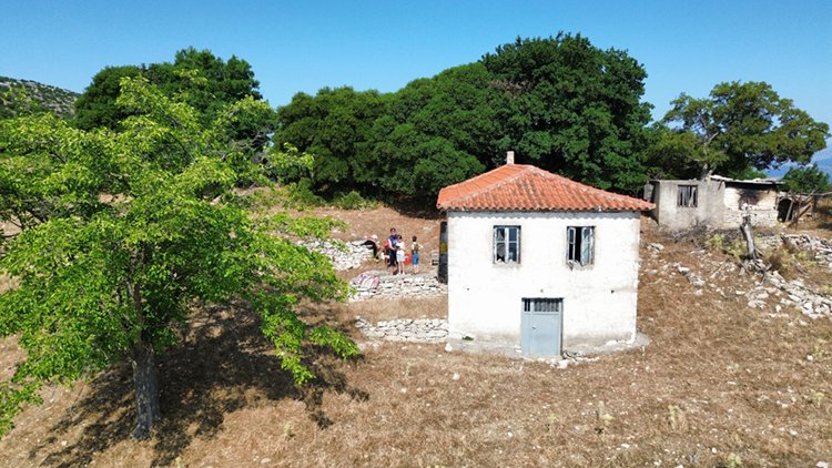 Ζάβιτσα