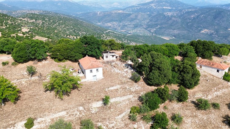 Ζάβιτσα