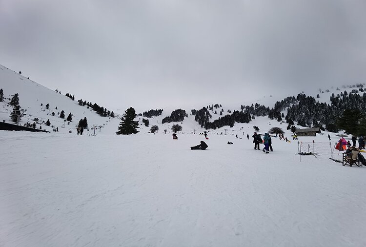 The ski resort slopes