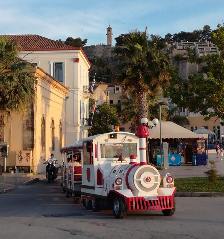 The train
