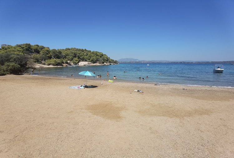 Σπέτσες