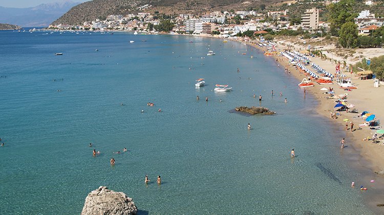 Τολό